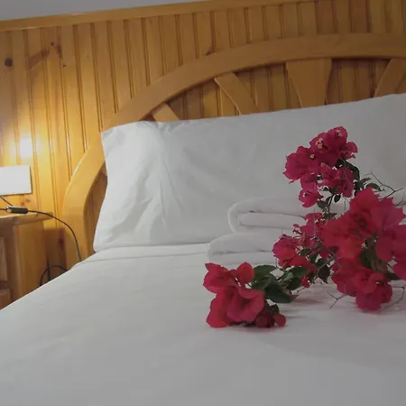 Σπίτι διακοπών Casa Iantmar 2 El Altet